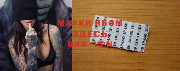 шишки Новодвинск