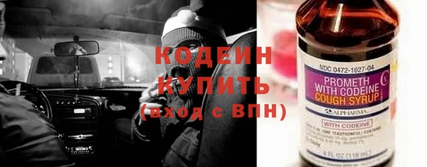 шишки Новодвинск