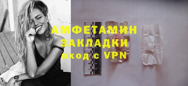 шишки Новодвинск