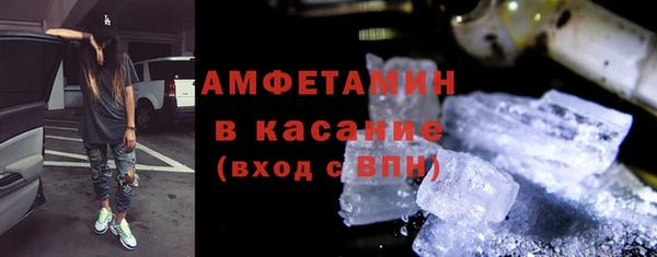 шишки Новодвинск