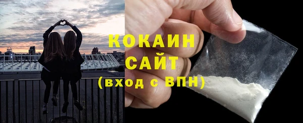прущие грибы Няндома