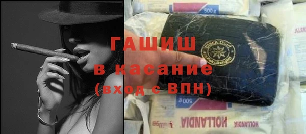 шишки Новодвинск