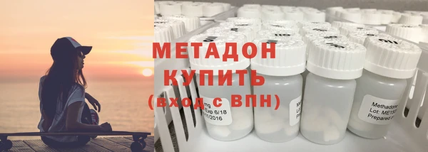 прущие грибы Няндома