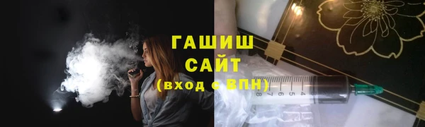 шишки Новодвинск