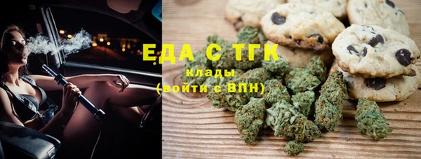 шишки Новодвинск