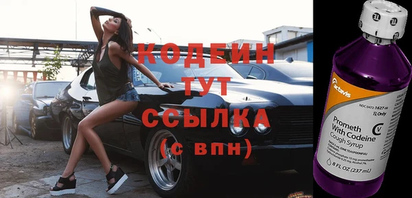 прущие грибы Няндома