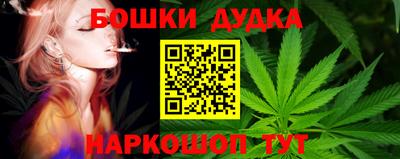 прущие грибы Азнакаево