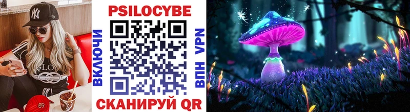 купить закладку  Азнакаево  Псилоцибиновые грибы Magic Shrooms 