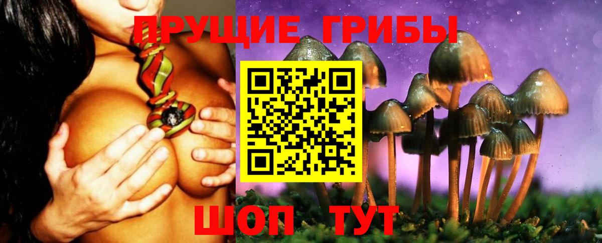 Псилоцибиновые грибы Psilocybine cubensis Азнакаево