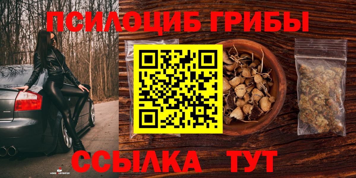 Псилоцибиновые грибы прущие грибы  Вход с VPN  Азнакаево 